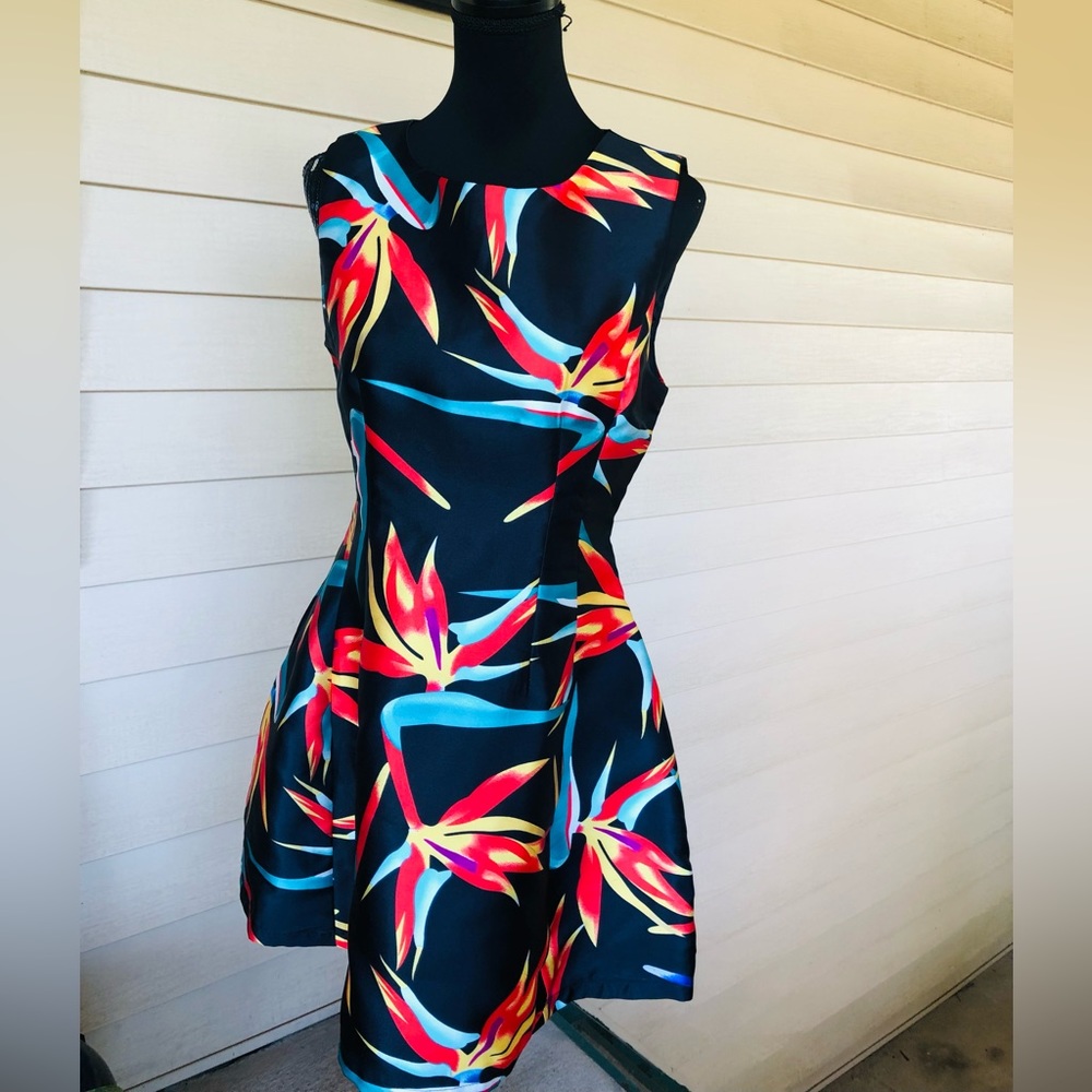 Boohoo Skater Style Dress